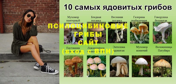 2c-b Бородино