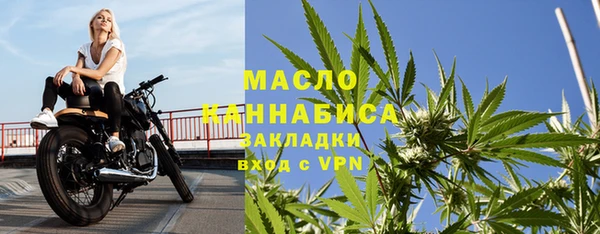 2c-b Бородино