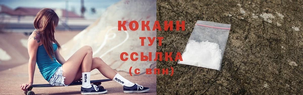 2c-b Бородино