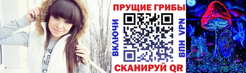 наркота  Козельск  Псилоцибиновые грибы MAGIC MUSHROOMS 
